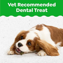 Greenies dental treats puppy 6 months 6 oz