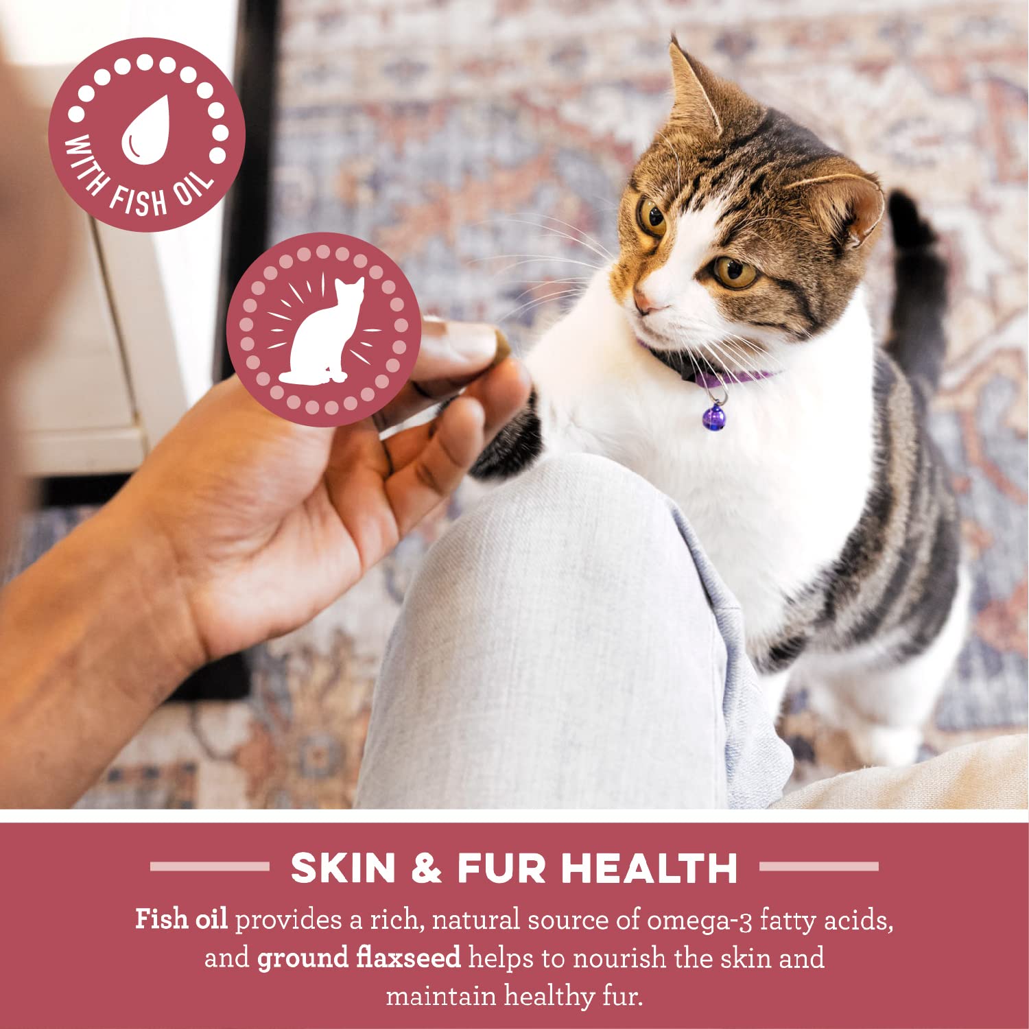 Greenies Feline Smartbites Skin & Fur Crunchy and Soft Natural Cat Treats, Salmon Flavor, 2.1 oz