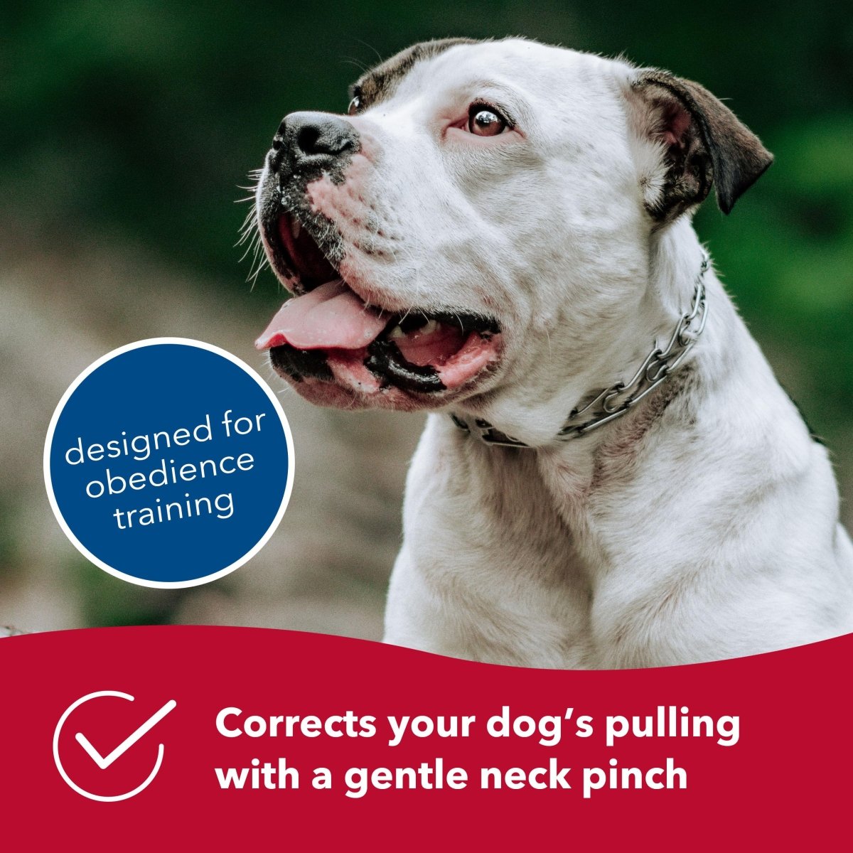 Herm Sprenger Ultra - Plus Prong Dog Training Collar - Steel Chrome Plated Dog Prong Collar - Neck 18" - 3.0 mm x 20" Chain Length - dog collar - 076484520006