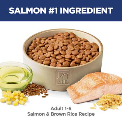 Hill Science Diet veterinarian recommended adult 1 - 6 dog food 14lbs
