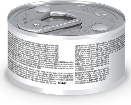 Hills science diet healthy cuisine tender chicken & rice medley kitten food wet canned 2.9oz