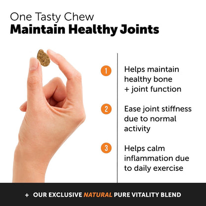 Honesty Hip & Joint Health - Dog Joint Support Supplement - Advanced Pet Vitamin - Joint Chews Support and Mobility - Chicken - dog supplies - 850005524076