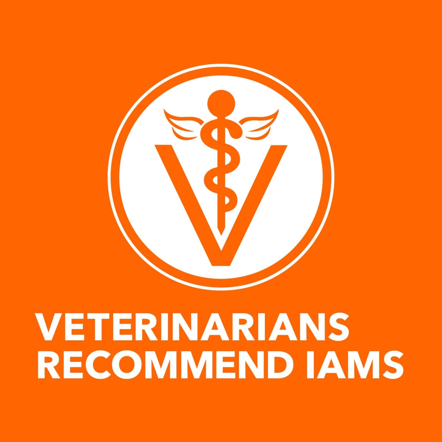 Iams Proactive Health Adult Healthy Dry Cat Food with Salmon – 3.5 lbs
