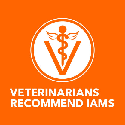 Iams Proactive Health Adult Healthy Dry Cat Food with Salmon – 3.5 lbs