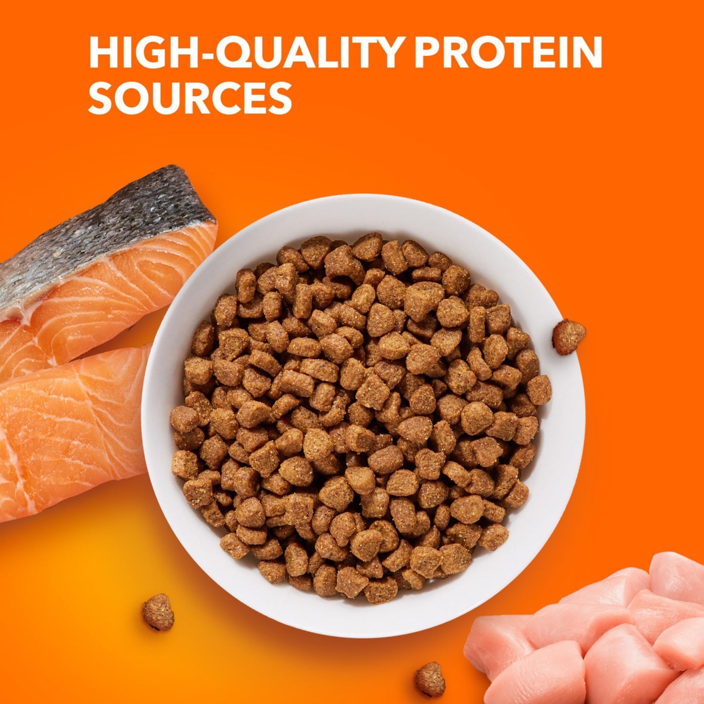 Iams Proactive Health Adult Healthy Dry Cat Food with Salmon – 3.5 lbs