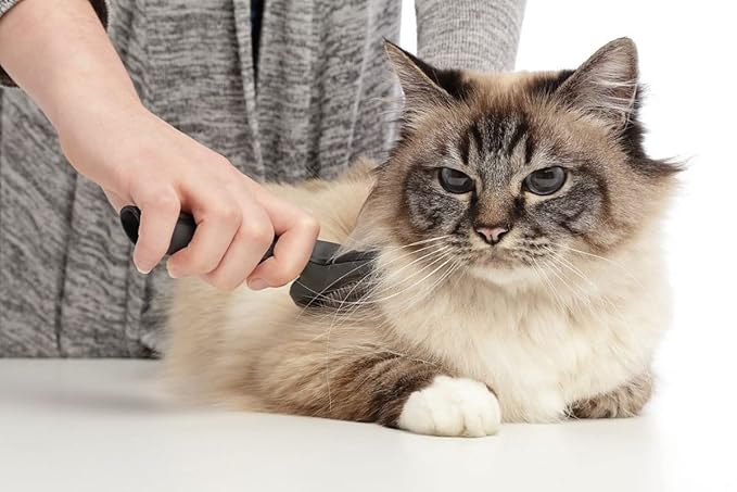 JW gripsoft cat brush