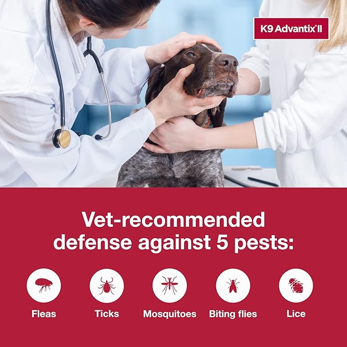 K9 Advantix ll flee and tick 1 dose