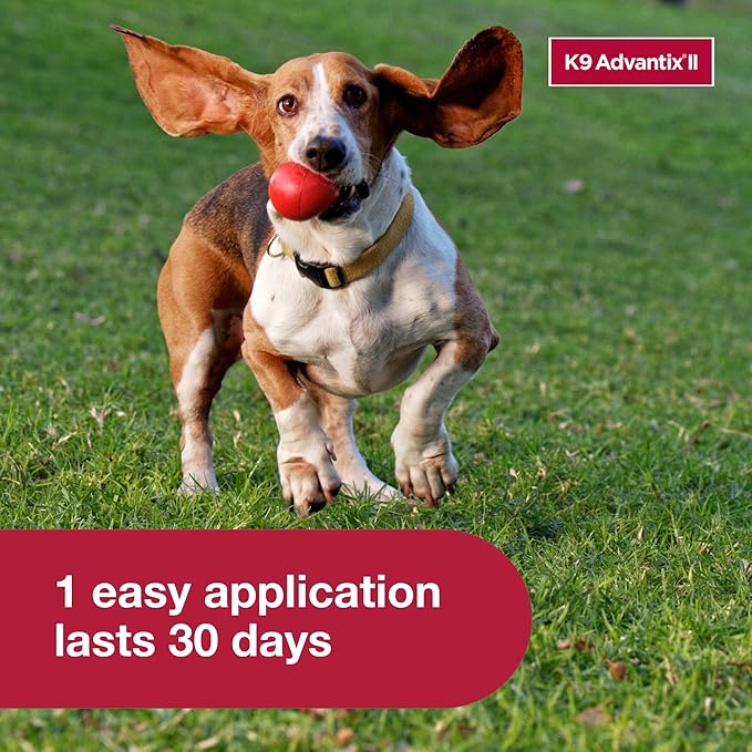 K9 Advantix ll tick and flea repellent small dog 1 dose