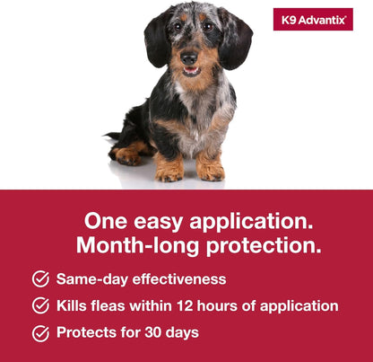 K9 advantix small dog topical flee and tick prevention and treatment