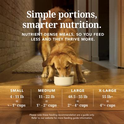 K9 Natural New Zealand beef and hoki feast feed or top 3.5 oz freeze dried dog food