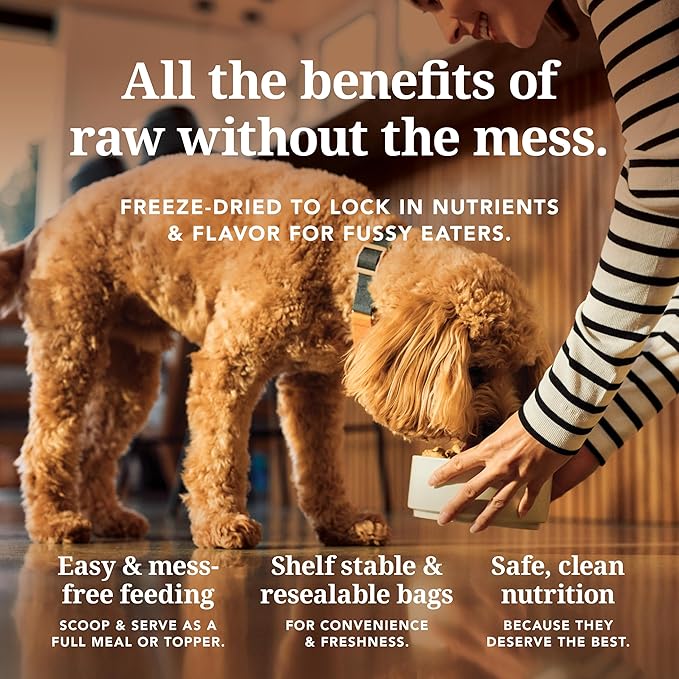 K9 Natural New Zealand lamb and king salmon feast feed or top 3.5 oz freeze dried dog food