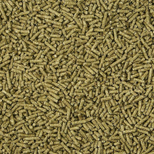 Kaytee Timothy Complete Pet Chinchilla Food, 3 Pound - small animal food - 071859435008