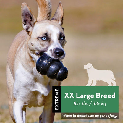 KONG - Extreme Dog Toy - Toughest Natural Rubber, Black - Fun to Chew, Chase and Fetch - for XX - Large Dogs - 035585111421