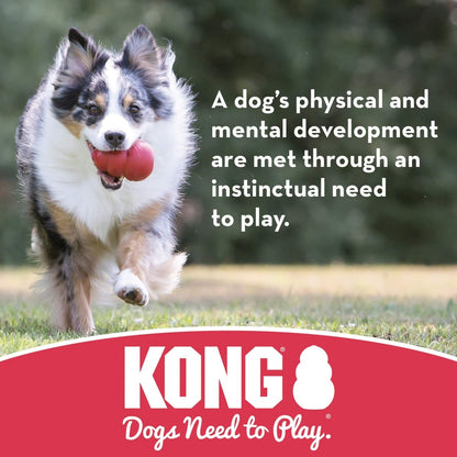 KONG - Puppy Flyer - Teething Rubber, Flying Disc Dog Toy - for Small Puppies (Assorted Colors) - 035585131160