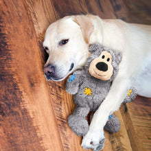 KONG - Wild Knots Bear - Internal Knotted Ropes and Minimal Stuffing for Less Mess (Assorted Colors) - For Small/Medium Dogs - 035585454252
