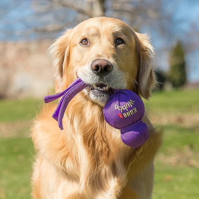 Kong wubba dog toy