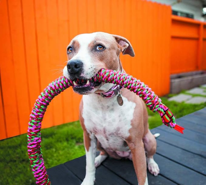 Mammoth snake biter dog toy small 26” tug dog toy