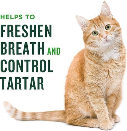 Minties dental treats for cats 2.5 oz chicken flavor