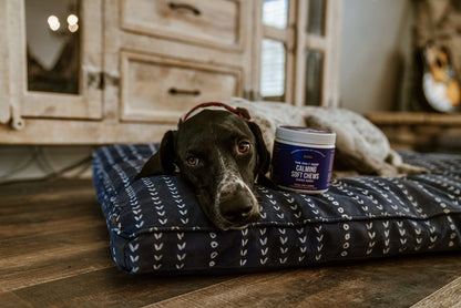Natural Rapport Dog Calming Treats - The Only Calming Soft Chews That Dogs Need - 120ct Chews That Contain Chamomile to Alleviate Stress - 854106008237