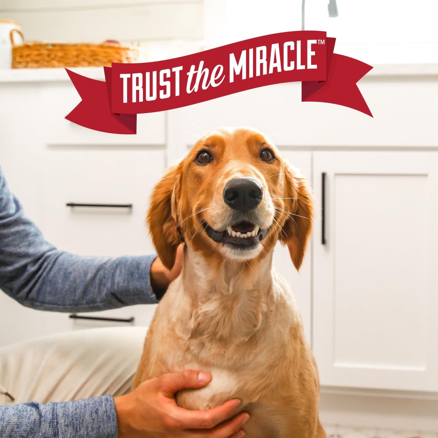 Nature'S Miracle Hard Floor Cleaner, 24 Ounces, Dual - Action Stain And Odor Remover Works To Remove Tough Pet Stains And Odors On Sealed Wood And Hard Floor Surfaces