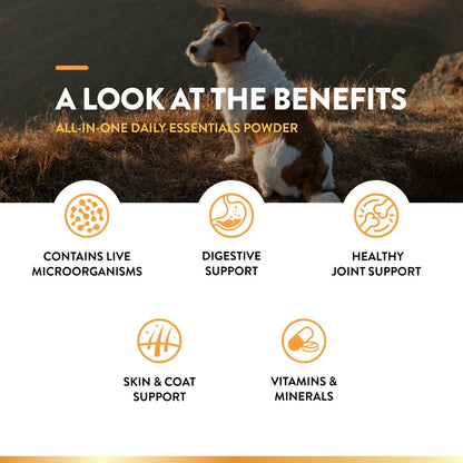 NaturVet All - in - One Dog Supplement for Joint Support - Digestion – Dog Multivitamins with Minerals - Omega - 3, 6, 9 – Wheat - Free Vitamins for Dogs – 13 - Ounce - dog supplement - 797801040044