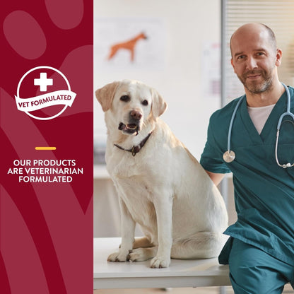 NaturVet – Cranberry Relief Plus Echinacea – Helps Support a Healthy Urinary Tract & Immune System – 60 Soft Chews
