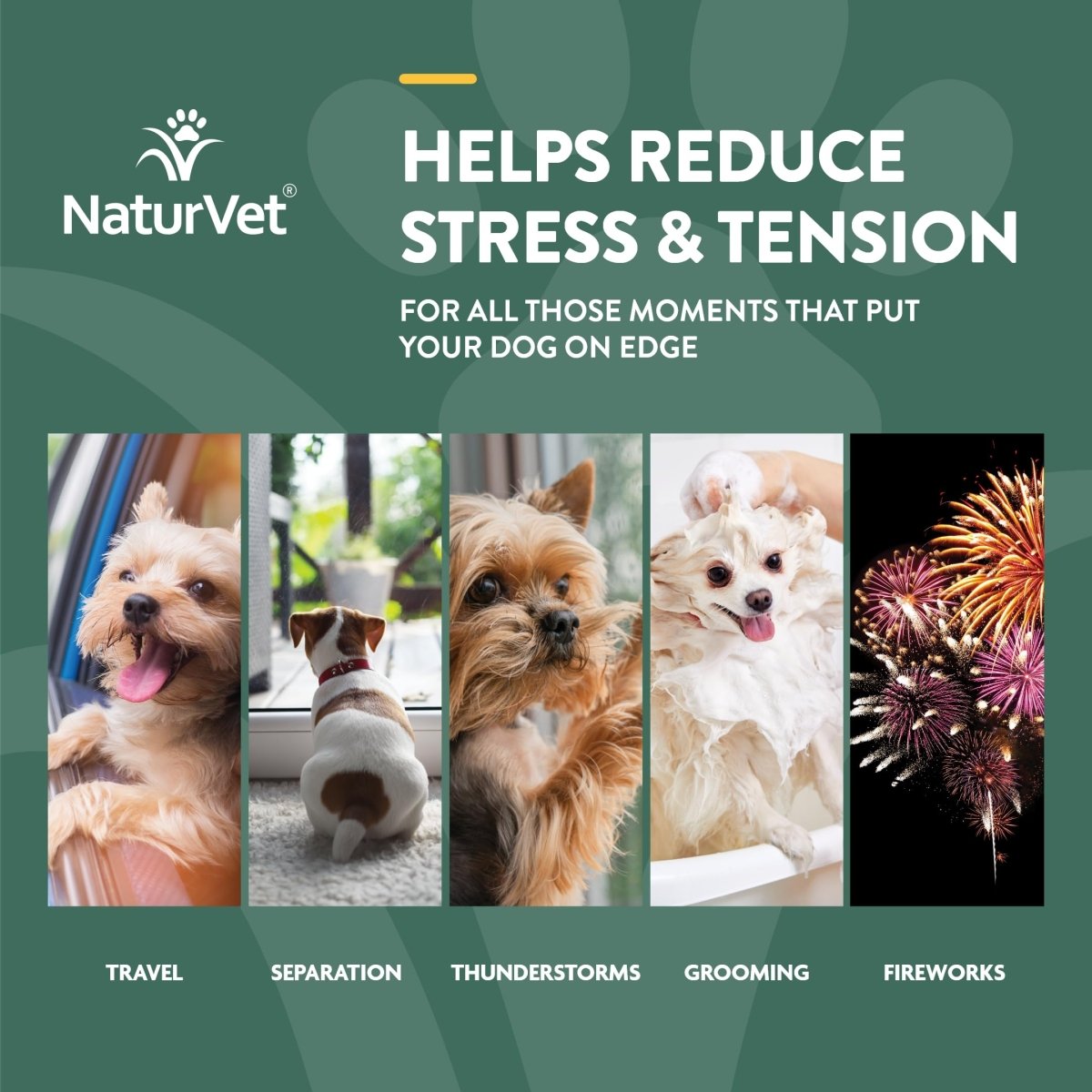 NaturVet Quiet Moments Calming Aid Dog Supplement - Helps Promote Relaxation - Reduce Stress - Storm Anxiety - Motion Sickness for Dogs - Plus Hemp - 180 Soft Chews - dog supplement - 797801059329