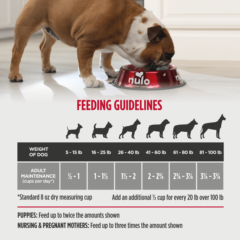 Nulo challenger game bird quarry puppy & adult duck, turkey & Guinea fowl recipe dry dog food kibble 4lbs