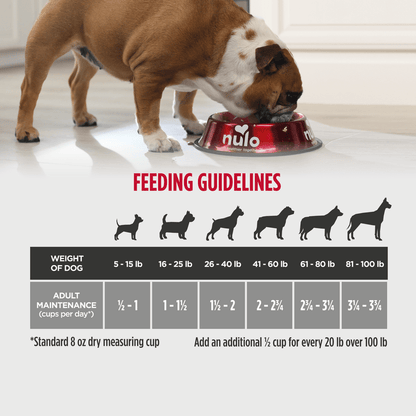 Nulo Frontrunner Adult Chicken Turkey and Oats 3 lb