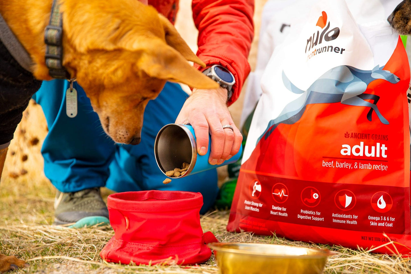 Nulo Frontrunner Dry Dog Food for Adult Dogs - Grain - Inclusive Beef, Barley & Lamb Recipe - High Taurine for Lean Muscles 23lb