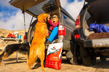 Nulo Frontrunner Dry Dog Food for Adult Dogs - Grain Inclusive Turkey & Trout Recipe with High Taurine Levels - 23 lb Bag