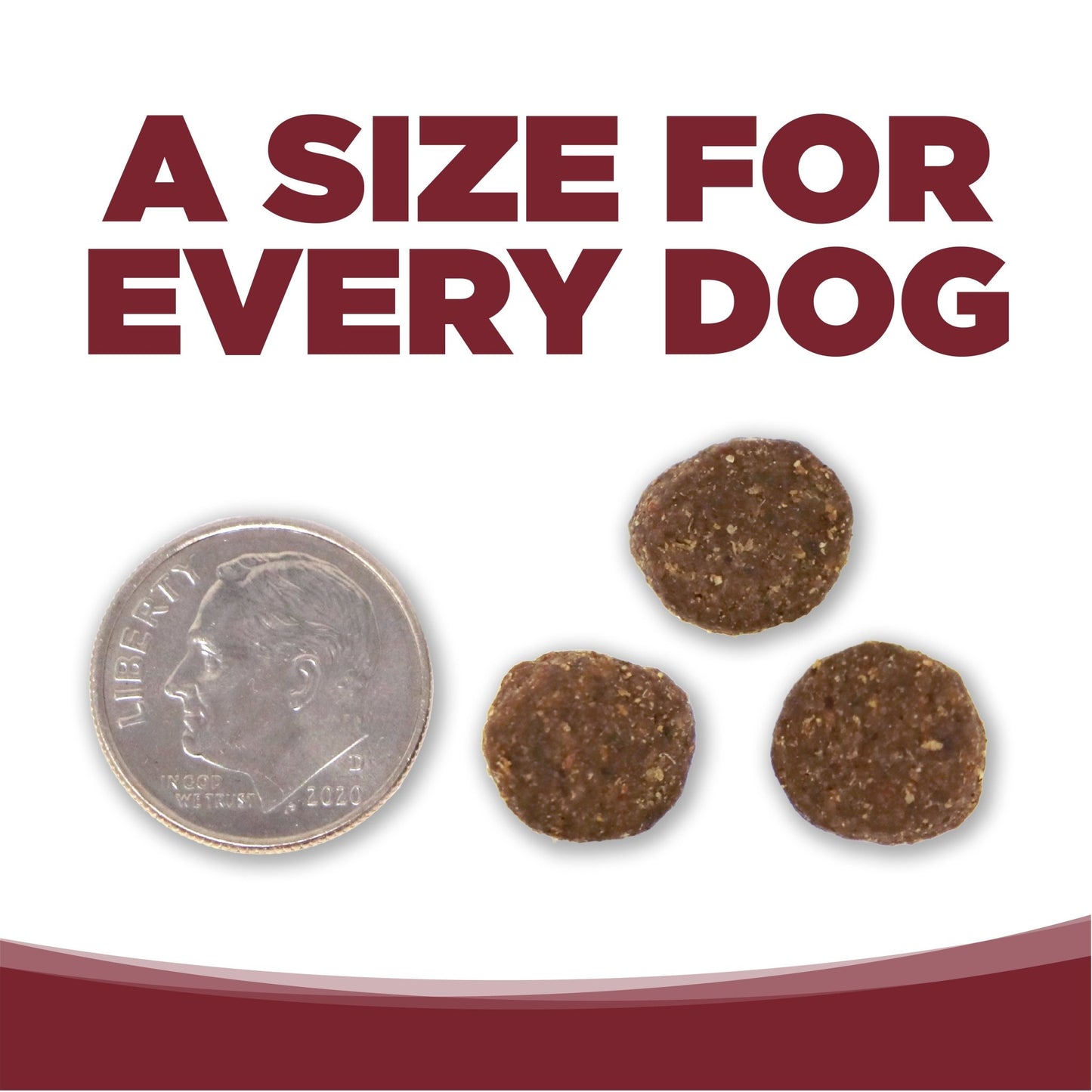 Nutri source beef and rice 12 lb kibble for dogs