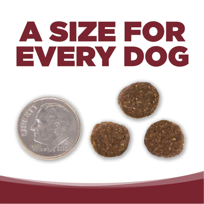 Nutri source beef and rice 12 lb kibble for dogs
