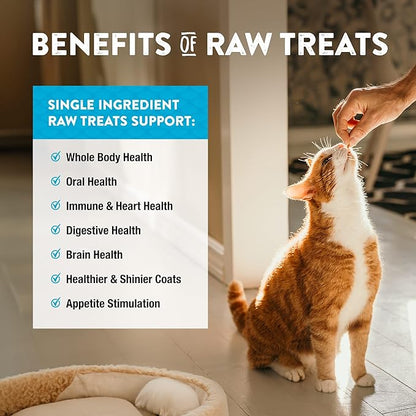 NWN Northwestnaturals freeze dried minnows dog cat treats 1oz