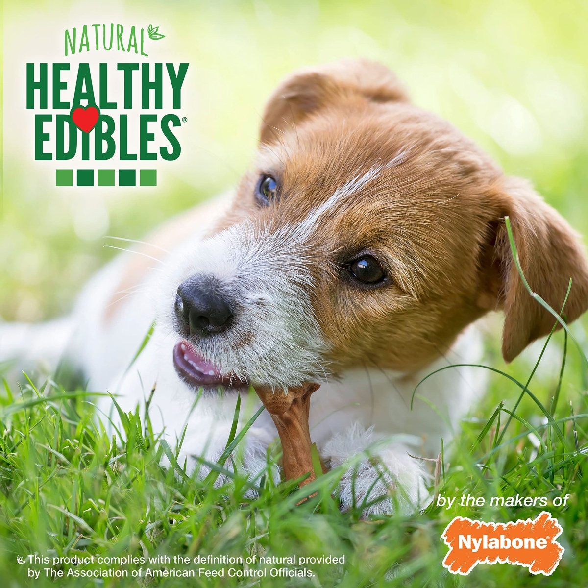 Nylabone Healthy Edibles Broth Bone All Natural Dog Treats Made With Real Bone Broth Small/Regular (16 count)