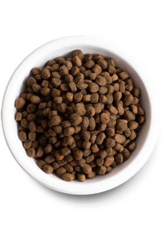 Open Farm Ancient Grains Dry Dog Food - Catch - Of - The - Season Whitefish Recipe with Wholesome Grains - 4 lb