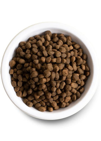 Open Farm Ancient Grains Dry Dog Food - Catch - Of - The - Season Whitefish Recipe with Wholesome Grains - 4 lb