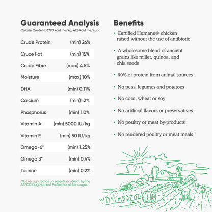 Open Farm Ancient Grains Dry Dog Food – Harvest Chicken Recipe with Wholesome Grains, 11 lb Bag