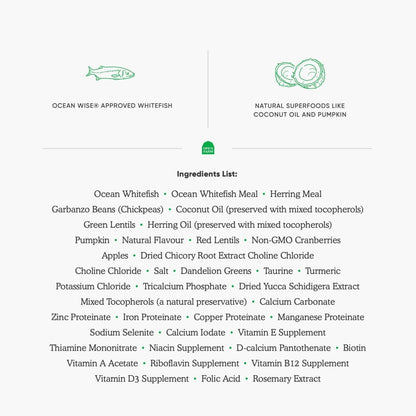 Open Farm Catch - Of - The - Season Whitefish Recipe Organic Sustainable Cat Food - Net 4 LB