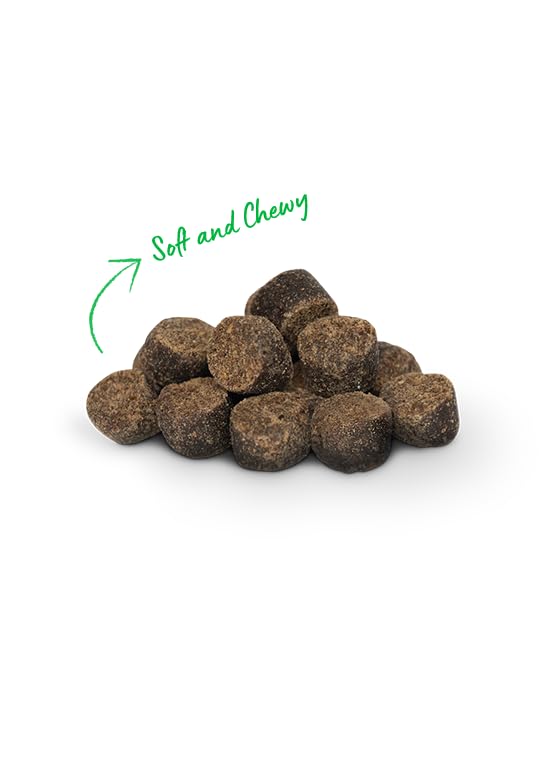 Open Farm Dehydrated Dog Treats, Gently Cooked Recipe with Natural Simple Ingredients and No Artificial Flavors or Preservatives (1 Pack Training Treats Insect)