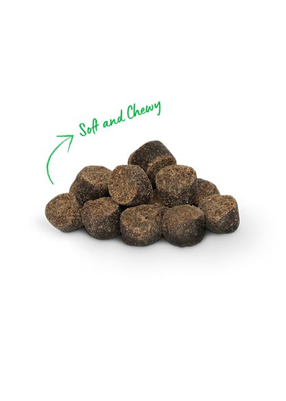Open Farm Dehydrated Dog Treats, Gently Cooked Recipe with Natural Simple Ingredients and No Artificial Flavors or Preservatives (1 Pack Training Treats Turkey)
