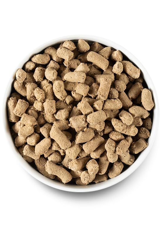 Open Farm Freeze Dried Raw Dog Food, Humanely Raised Meat Recipe with Non - GMO Superfoods and No Artificial Flavors or Preservatives (3.5 Ounce (Pack of 1), Pasture Raised Lamb)