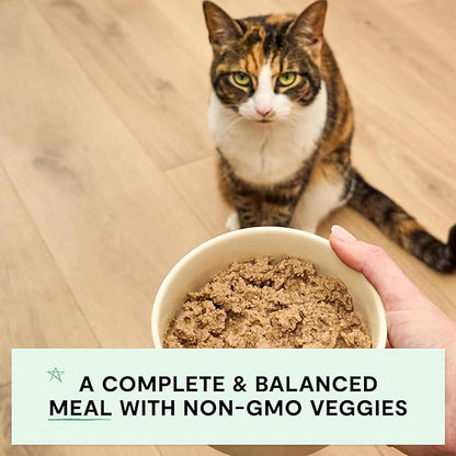 Open farm grain free chicken & salmon recipe wet canned cat food 2.8oz