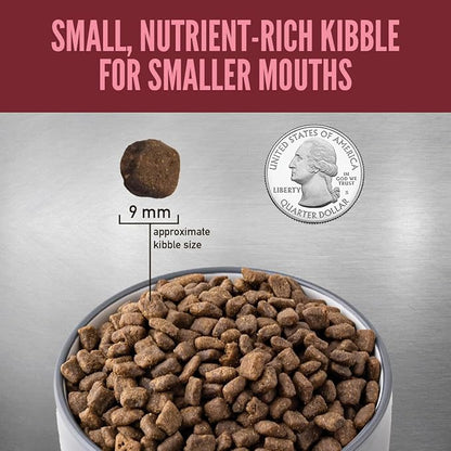 ORIJEN Small Breed Grain - Free Dry Dog Food, 10 - lb bag