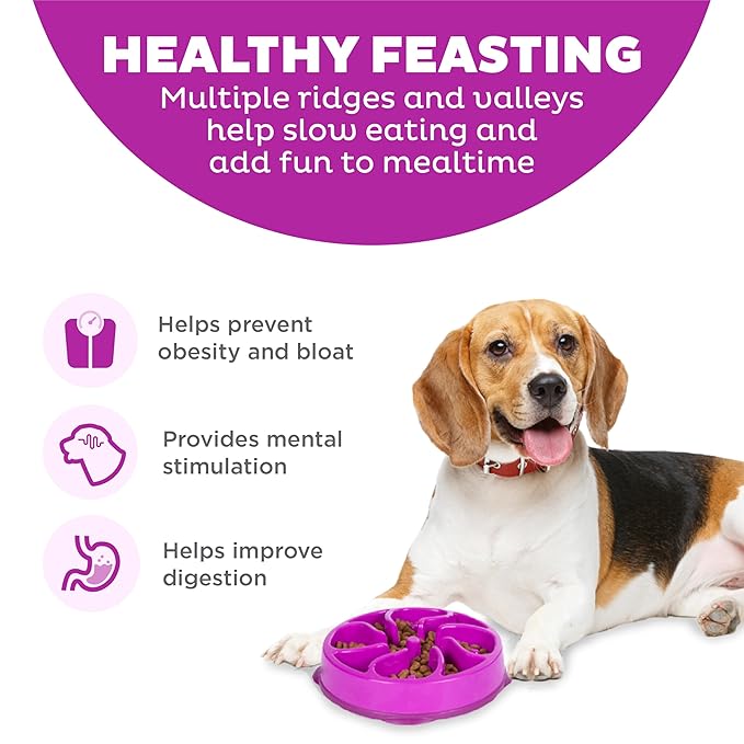 Outward hound fun feeder slo bowl 2 cups