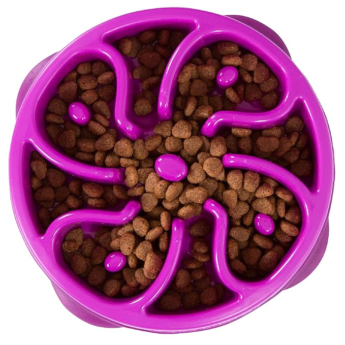 Outward hound fun feeder slo bowl 2 cups