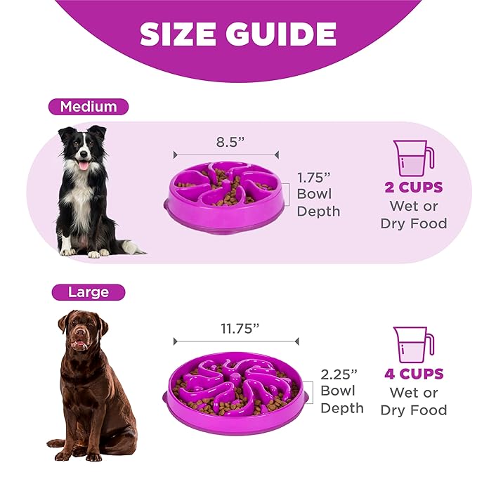 Outward hound fun feeder slo bowl 2 cups