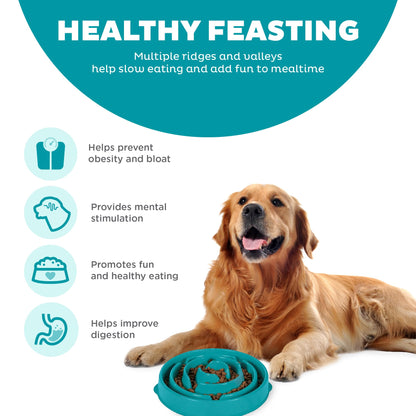 Outward Hound Fun Feeder Slo Bowl, Slow Feeder Dog Bowl, Large/Regular, Turquoise