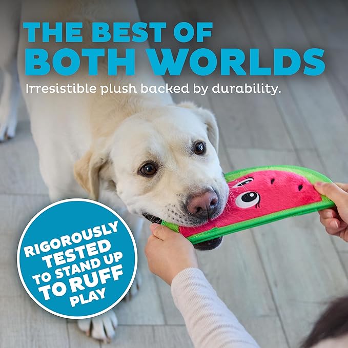 Outward hound tough skinz watermelon dog toy
