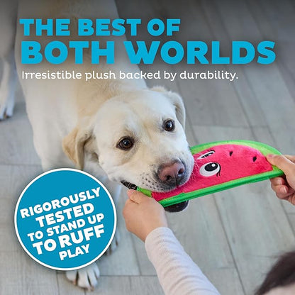 Outward hound tough skinz watermelon dog toy